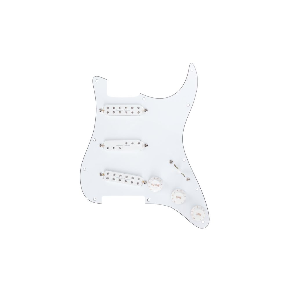 Seymour Duncan Everything Axe Loaded PG WH – Thomann Ireland