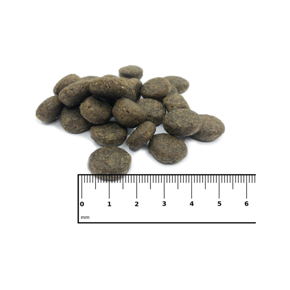 ICEPAW Nordic Pure - Salmon & Potatoes - 2 kg