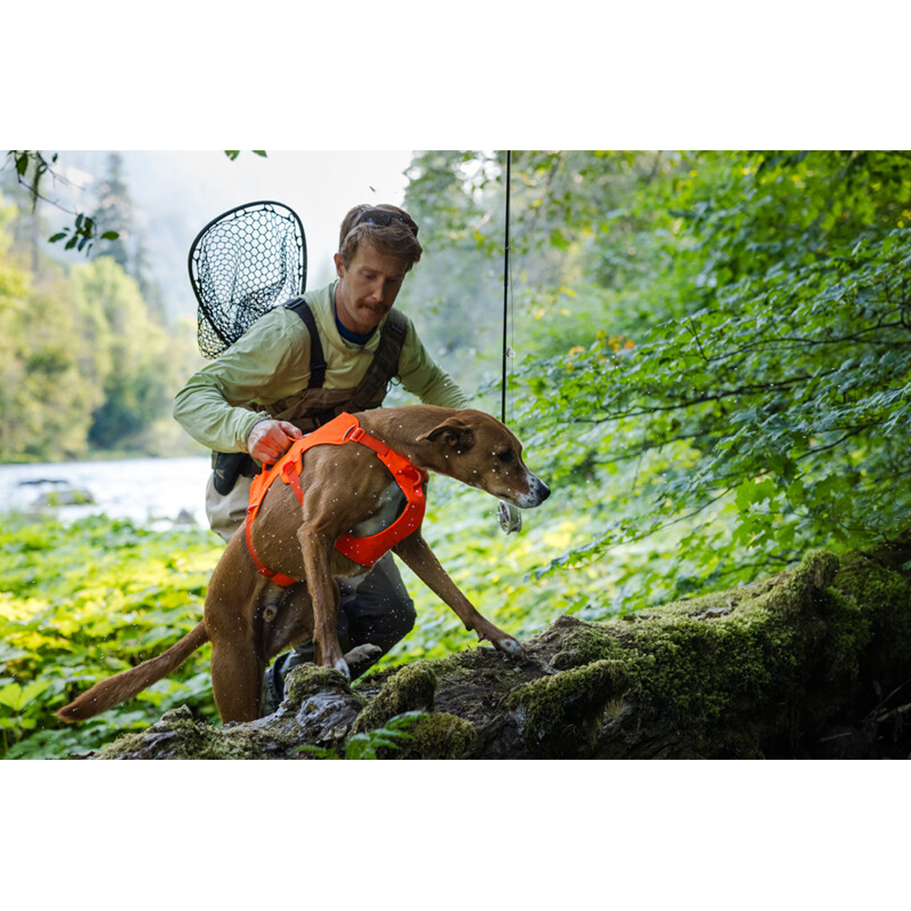 Ruffwear Web Master Harness - L/XL - Basalt Gray