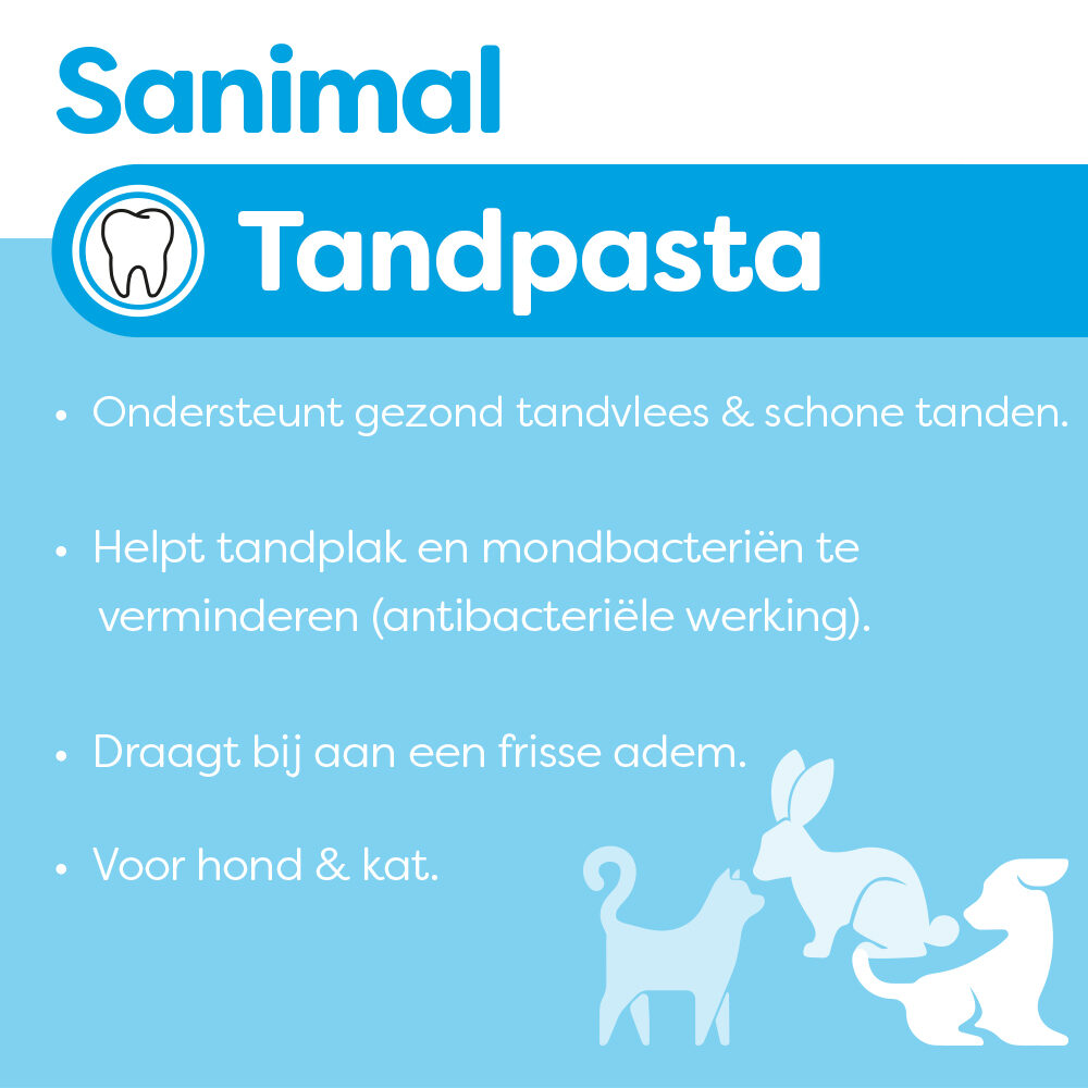 Sanimal Toothbrush