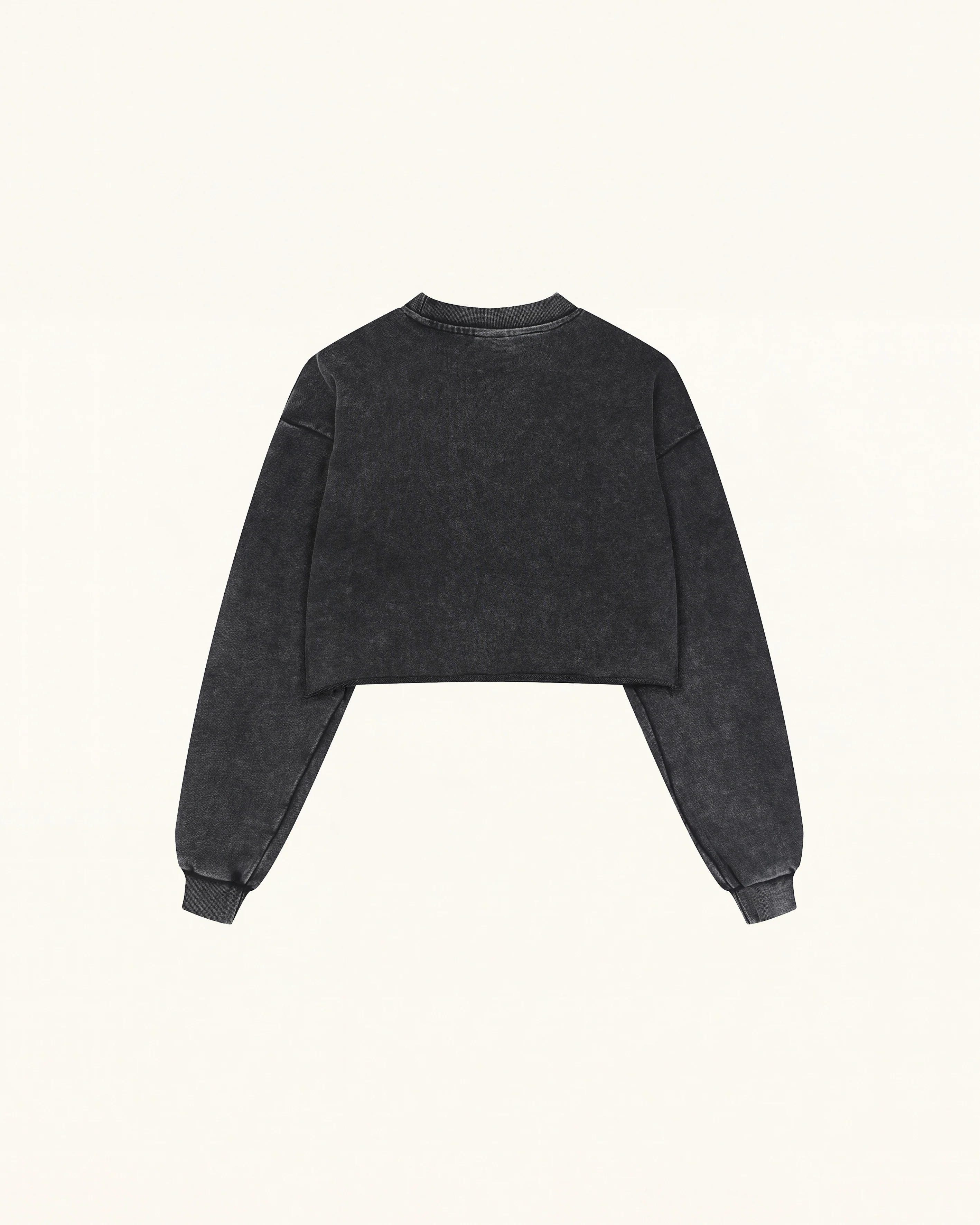 Whimsical Faux Embroidery Dachshund Sweatshirt - Black