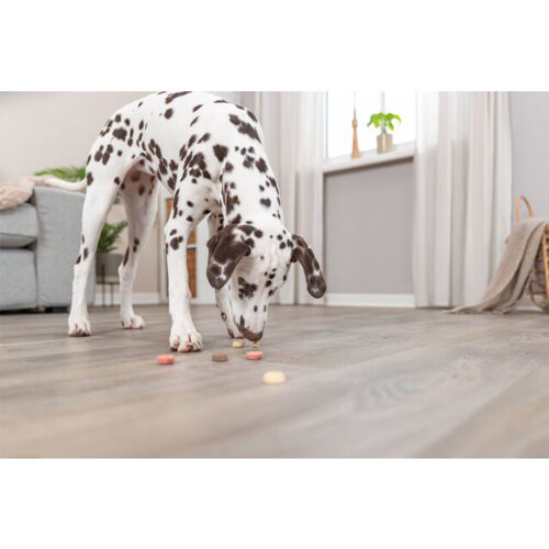 Trixie Vegan Cookie Snack Loops - 1.3 kg