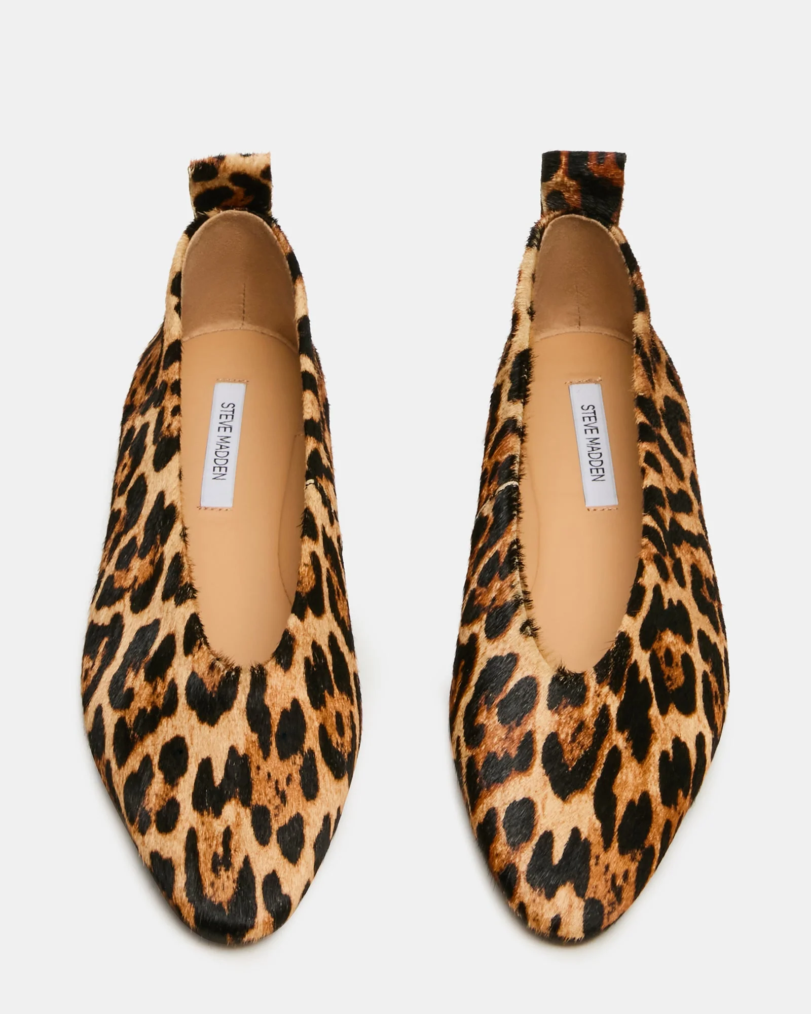 Swanky Leopard