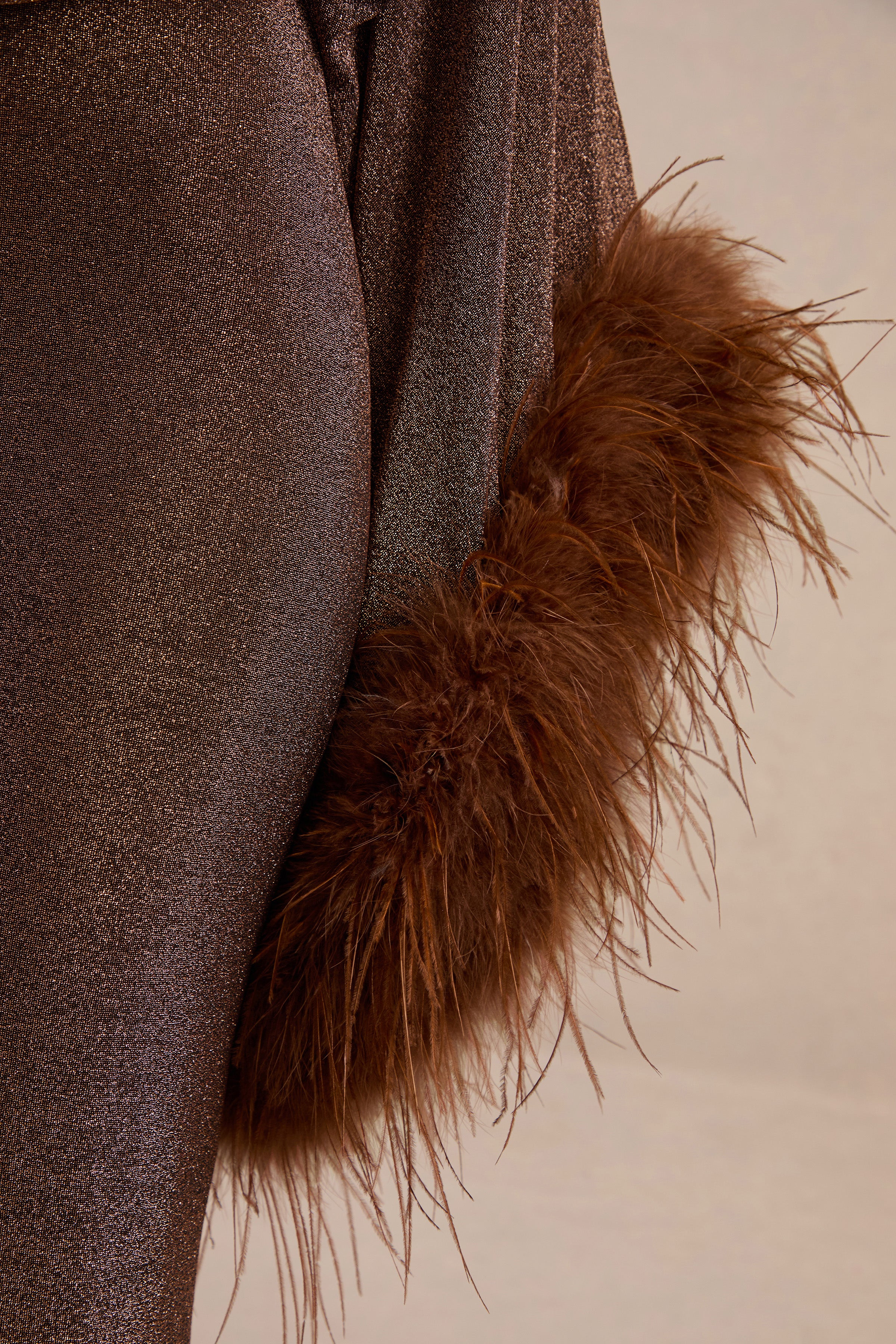 Galena | Brown Glitter One Sleeve Maxi Dress With Feather Detailing