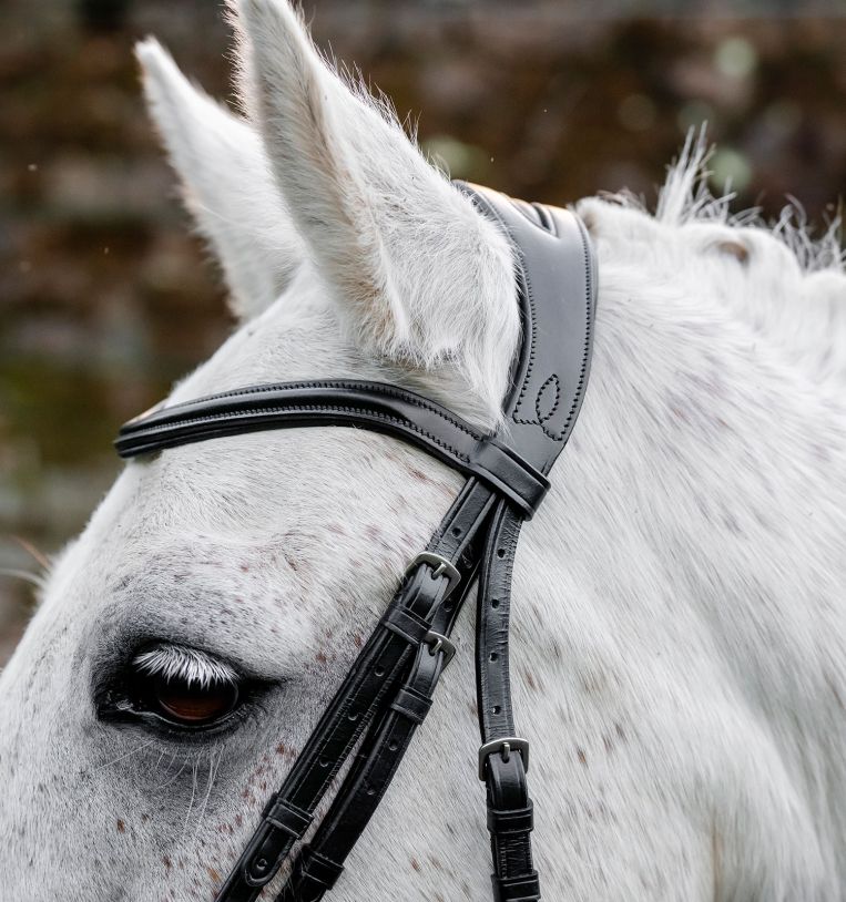 Horseware® Pony Flash Bridle