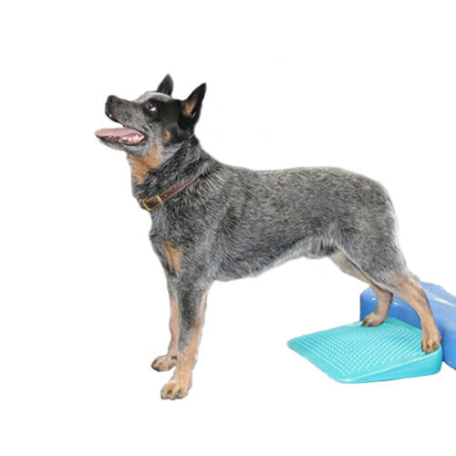 FitPAWS Balance Ramp - 35 cm