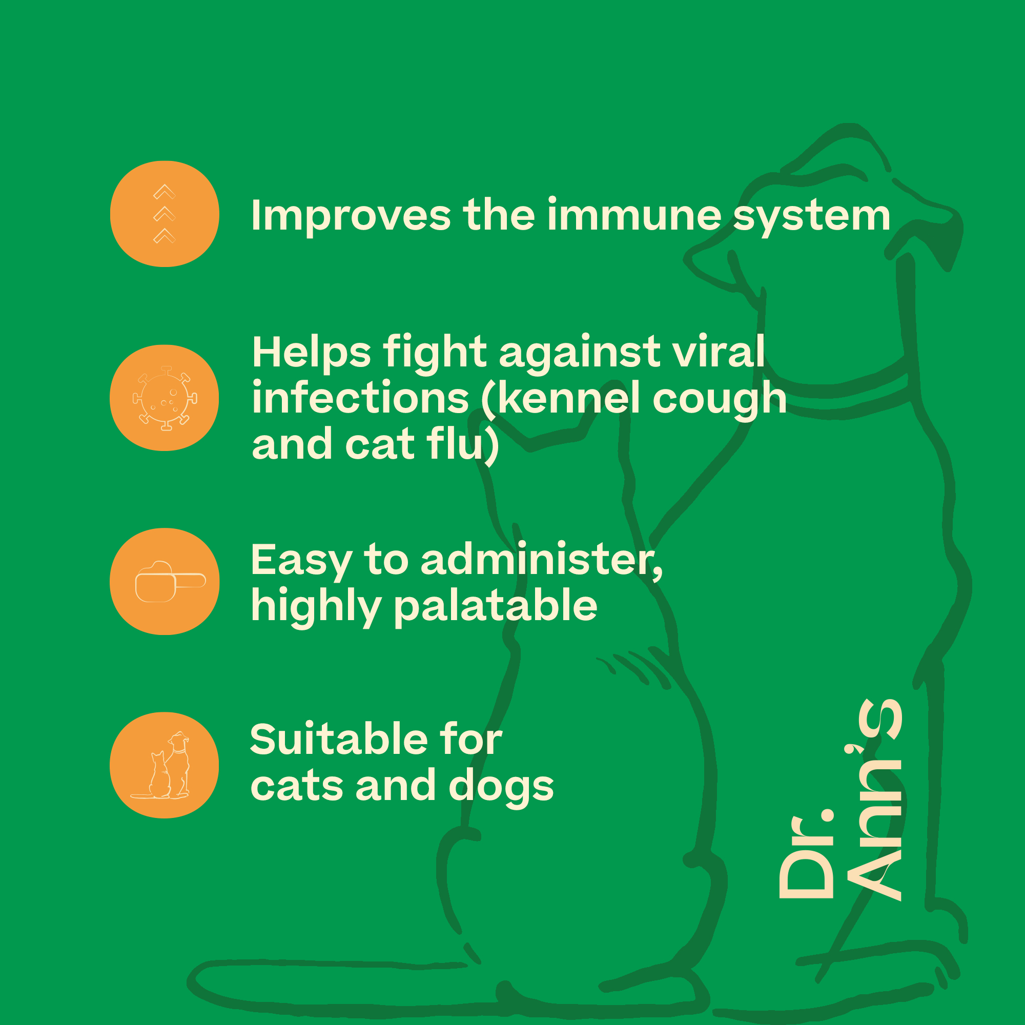 Dr. Ann's L-Lysine - 50g