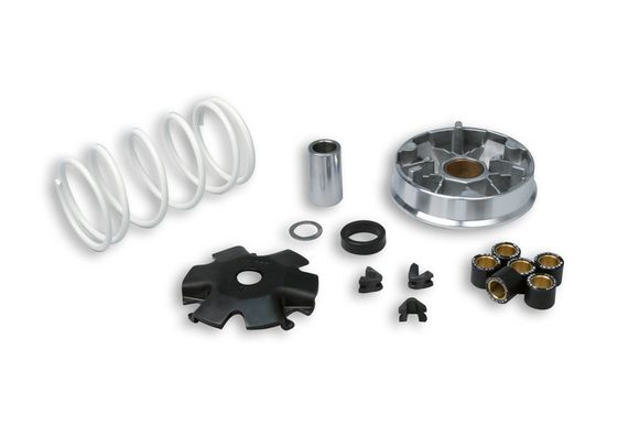 Variateur Malossi MultivarRef : MAL00408A / 1008019