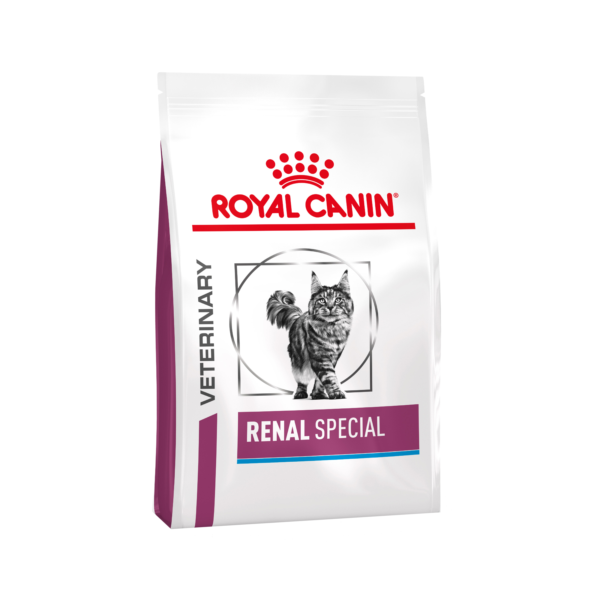 Royal Canin Renal Special Cat - 400g