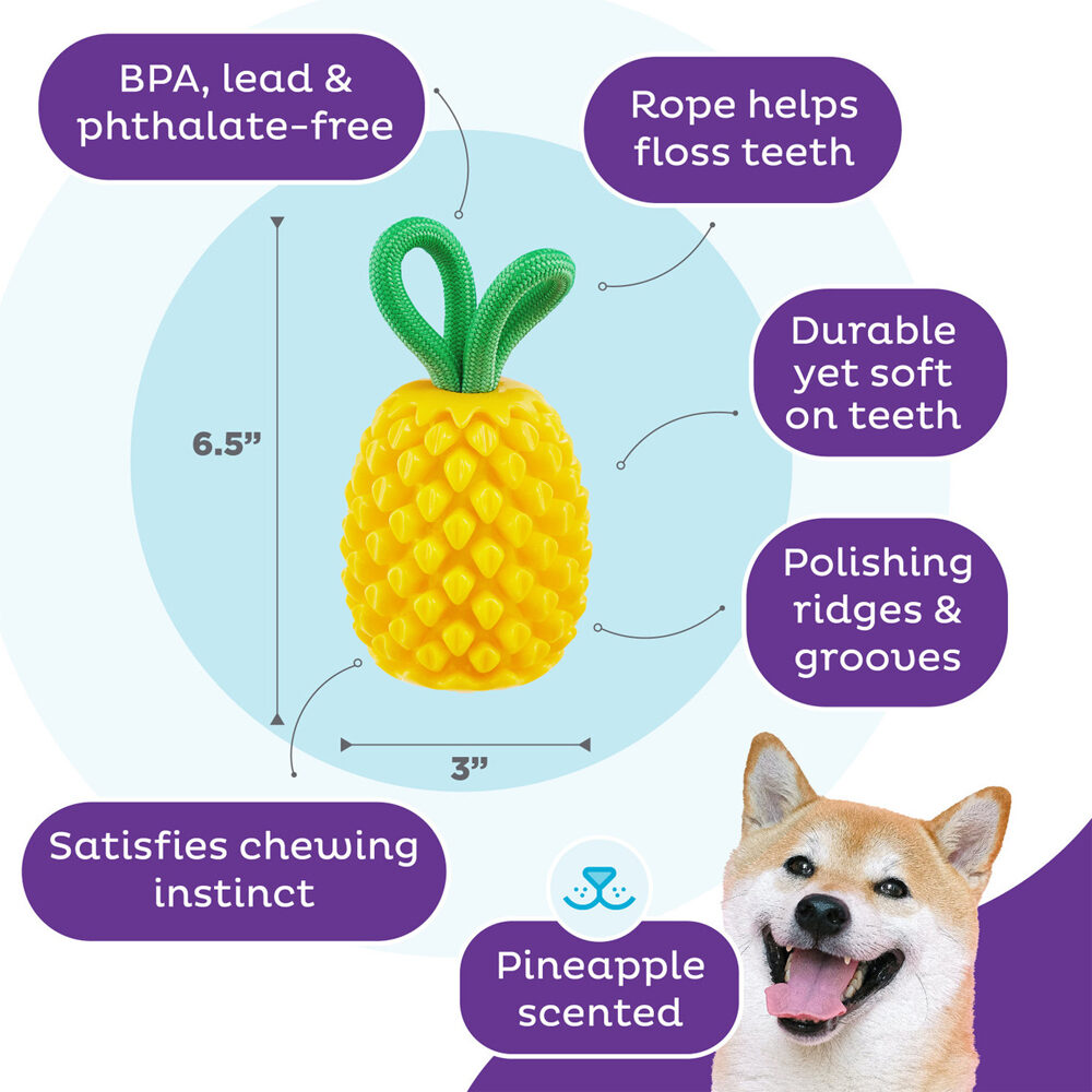 Outward Hound Dental Pineapple