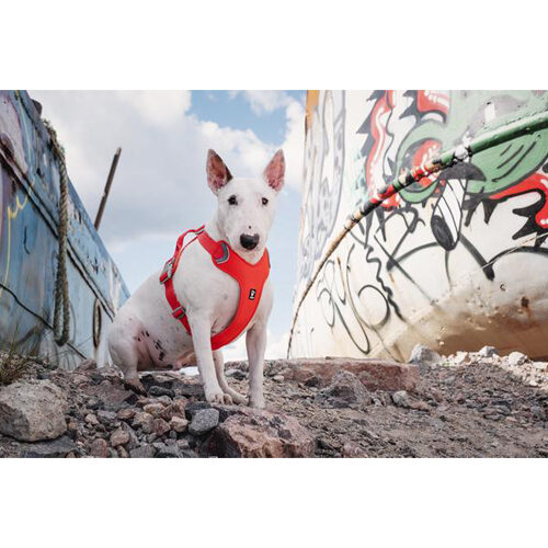 Hurtta Weekend Warrior Eco Harness - 100/120 cm - Rosehip