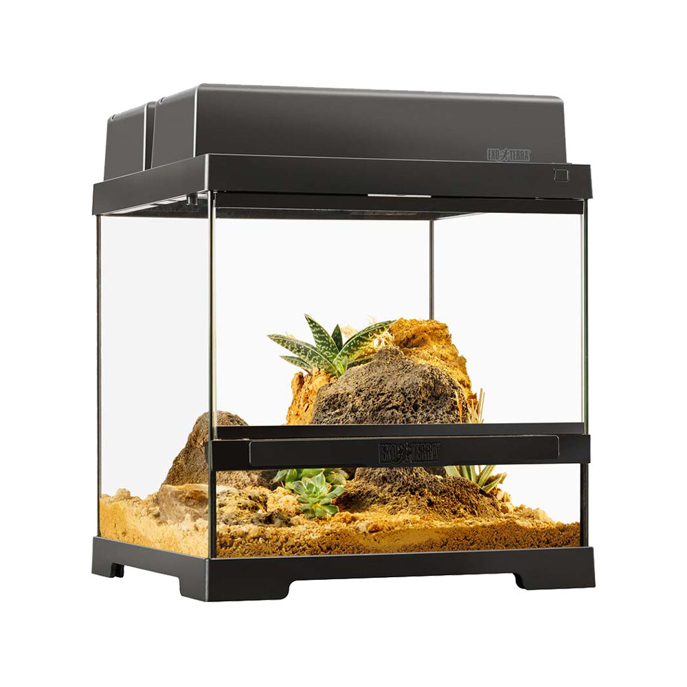 Exo Terra Pro Terrarium Wide - XS