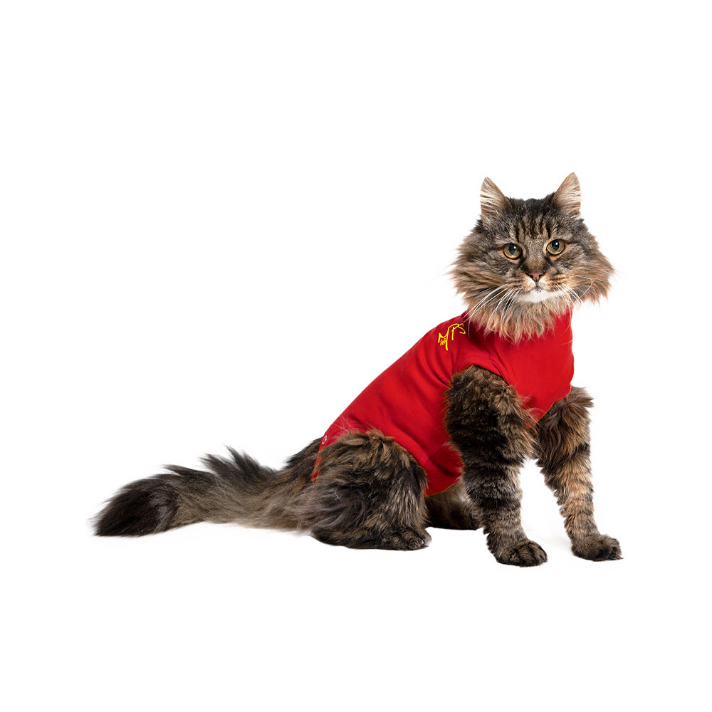 Medical Pet Shirt Cat - Red XXXS
