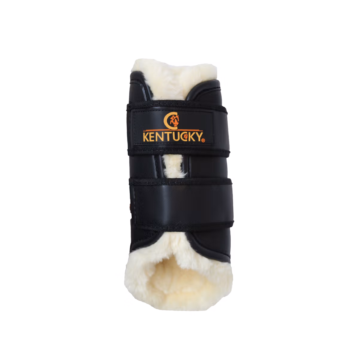Brushing Boots Leather Front