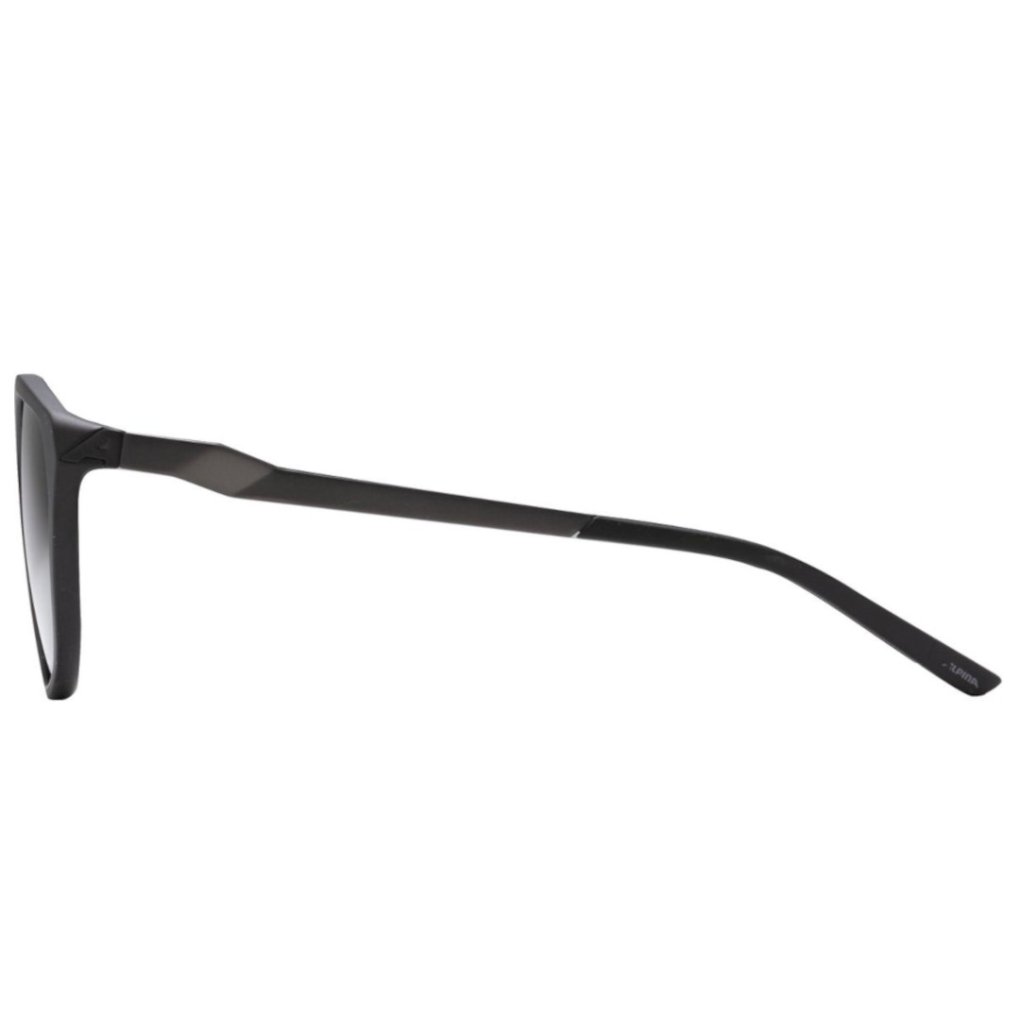 Alpina Fleek Glasses - black-silver shiny/black