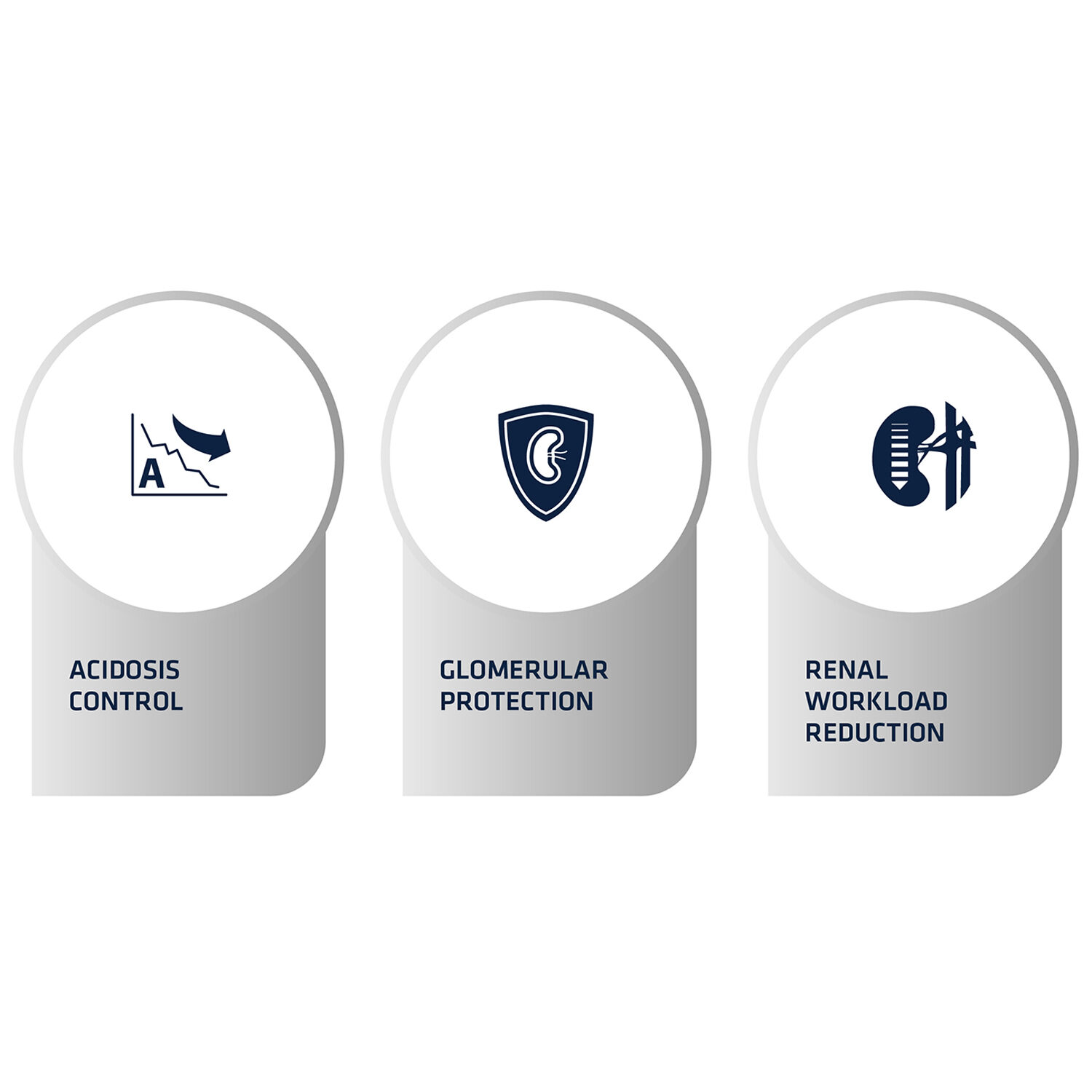 Affinity Advance Veterinary Diets Renal Dog - 3 kg