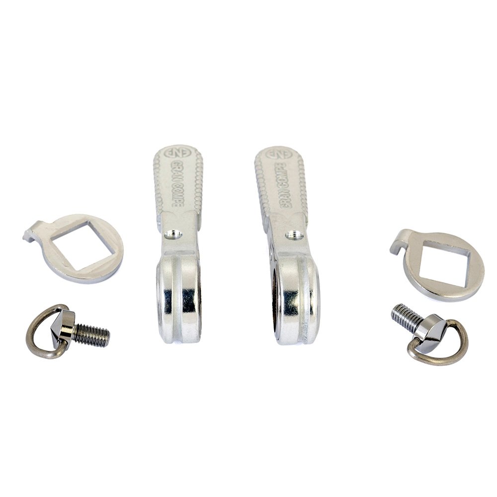 Dia Compe ENE Downtube Shift Levers - silver