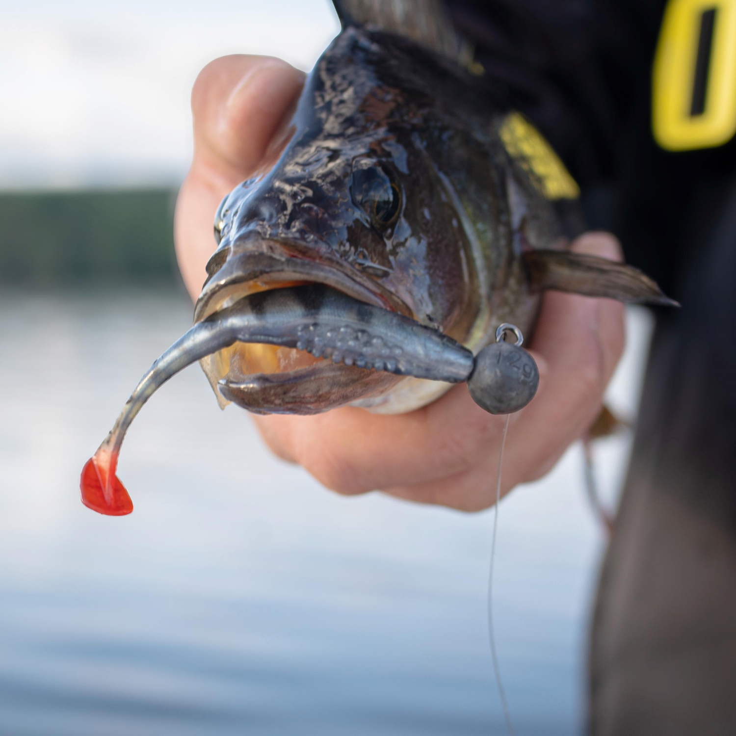 Fox Rage Scent Shad (Ultra Natural Perch)