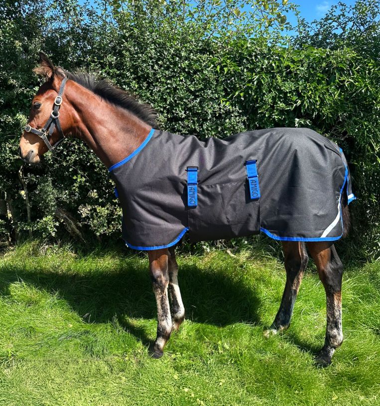 Amigo® Ripstop 900D Foal Turnout 200g
