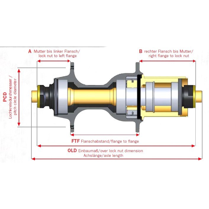Novatec F482SB/AA-11S Rear Hub - Superlight | J-Bend | QR 130 - HG-EV | 32 Holes