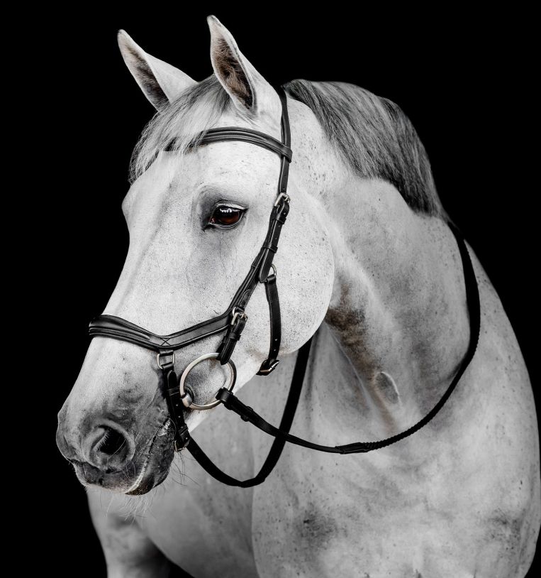 Horseware Micklem® Deluxe Competition