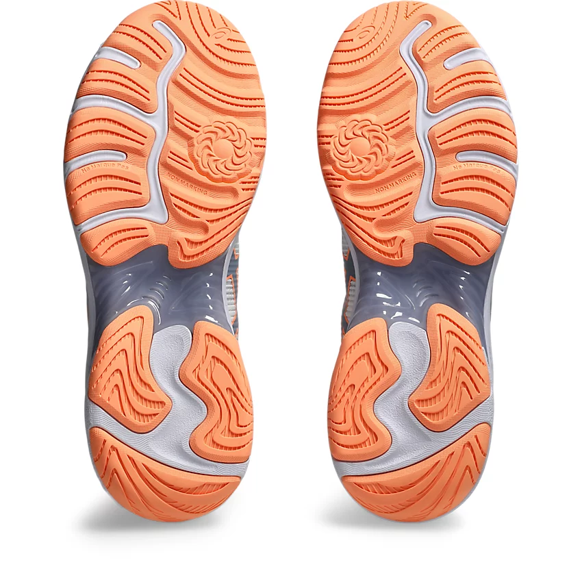 NETBURNER PROFESSIONAL FF 4