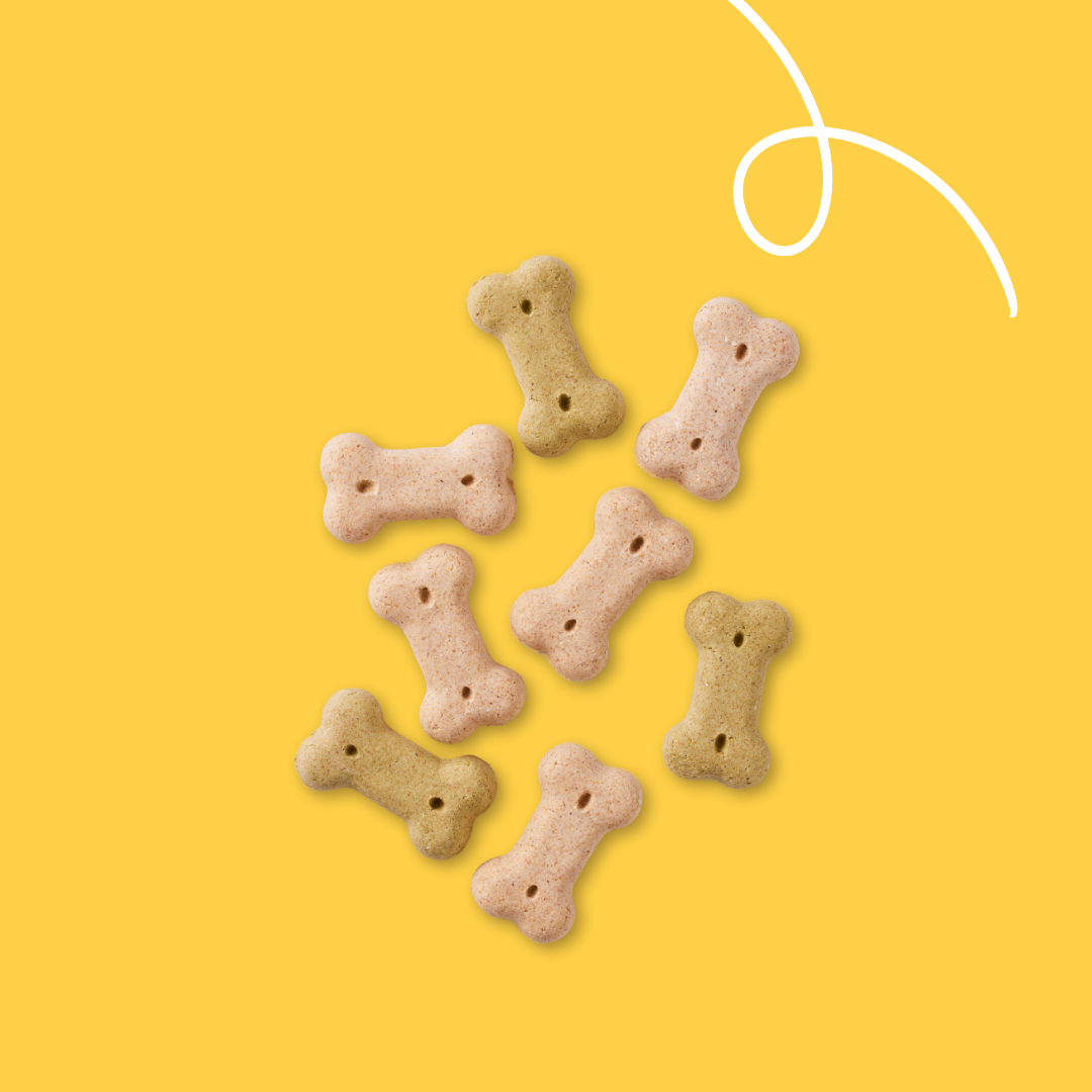 Yarrah - Vega Multi Dog Biscuits Bio 6x 250g