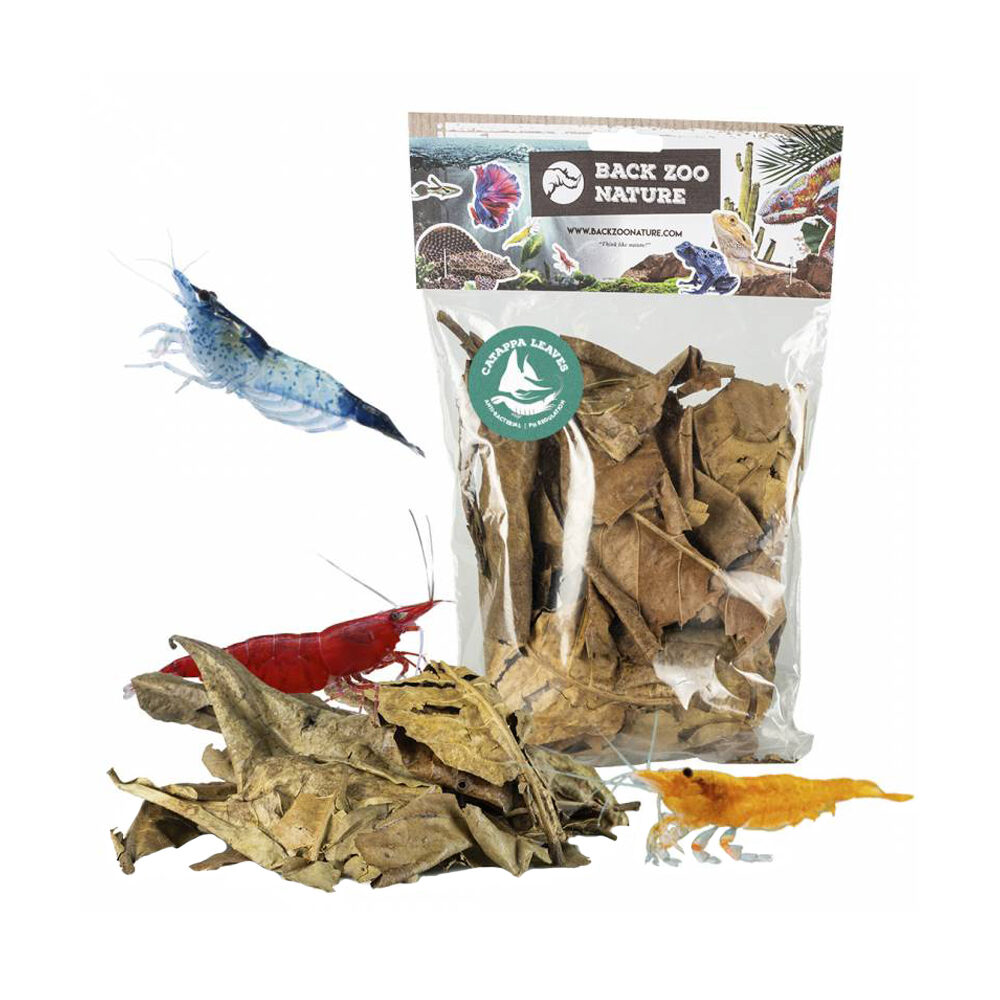 Back Zoo Nature Catappa Leaves - 25g