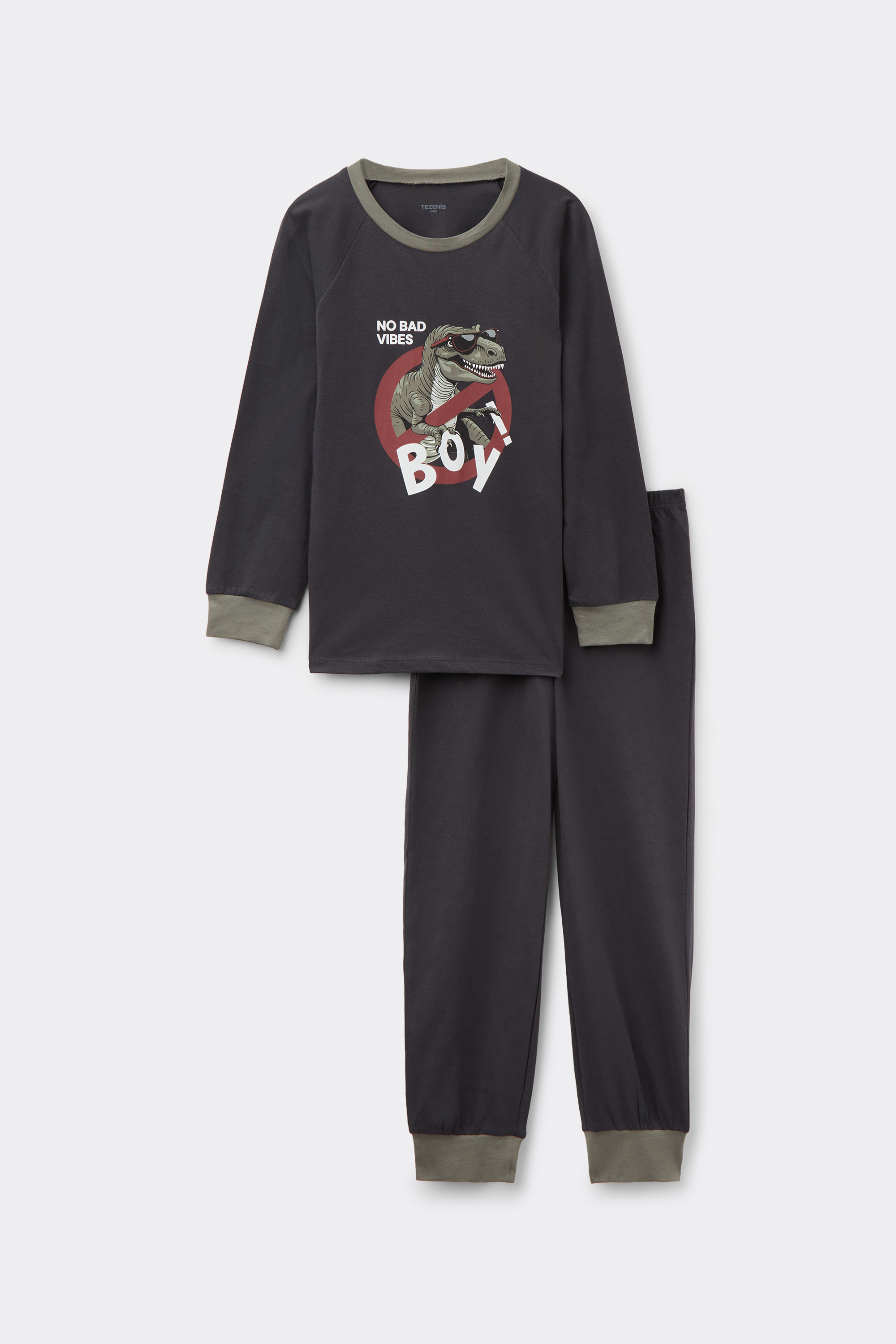 Boys’ Dino Print Cotton Long Pyjamas