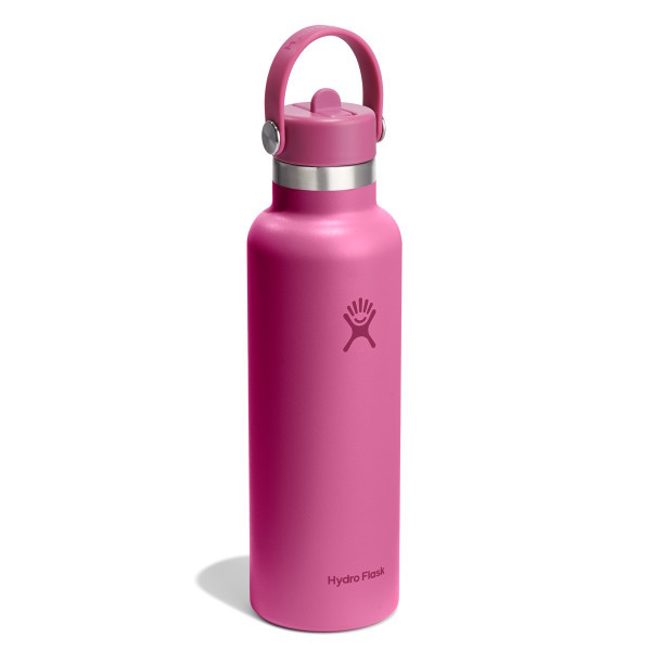Hydro Flask 21oz Standard Mouth Insulated Bottle + Flex Straw Cap - 621ml - Reef