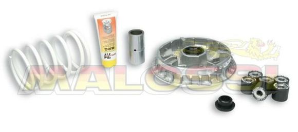 Variateur Malossi Multivar 2000Ref : MAL00121A / 1008025