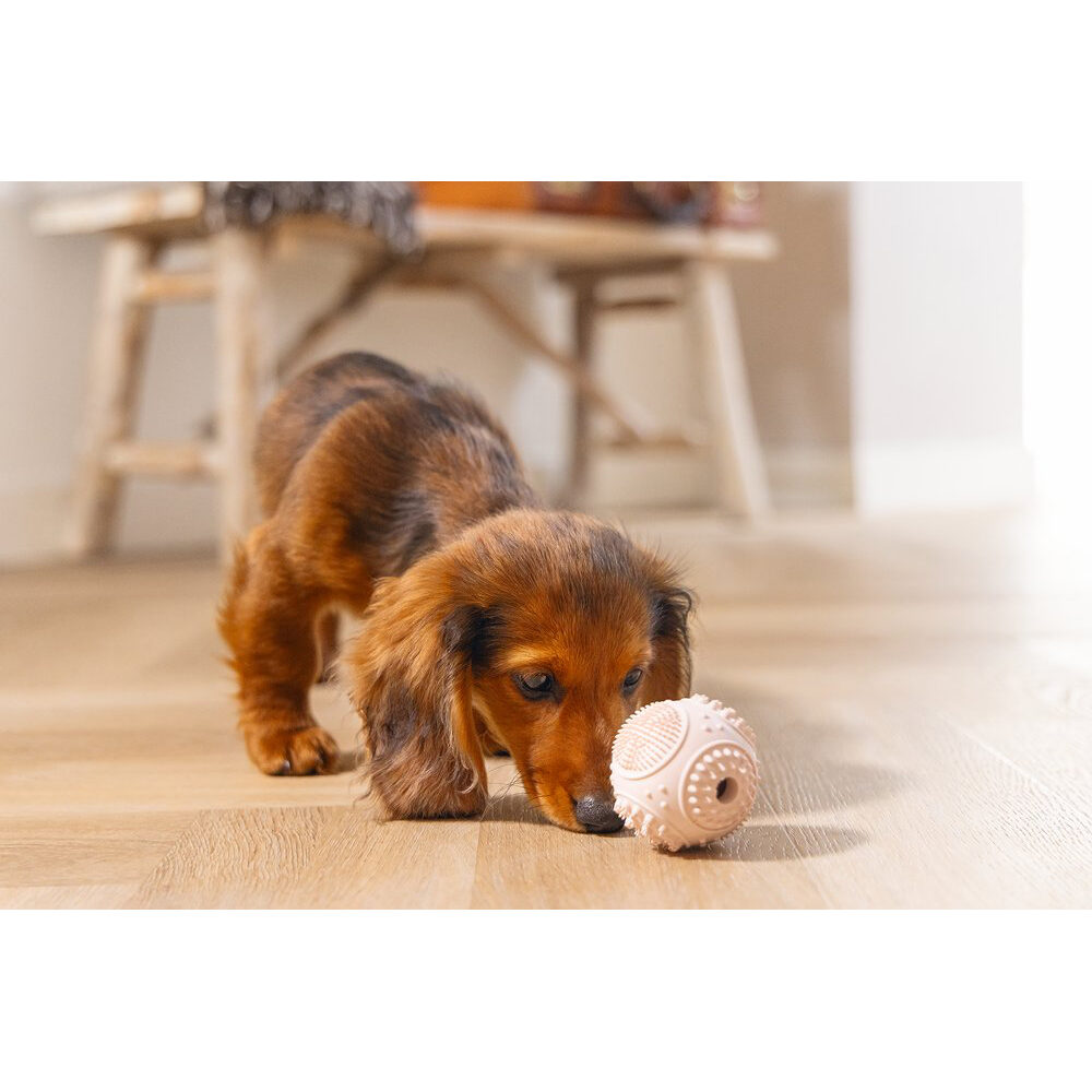 Beeztees Puppy Dental Ball - Green