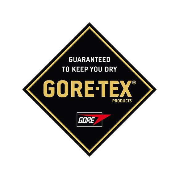 Gore -Tex® Web Alpinestars Boots - BlackRef: AP1256