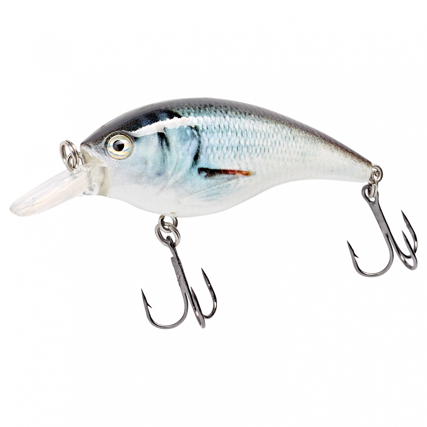 Kogha Wobbler Midi Water (Super Roach)