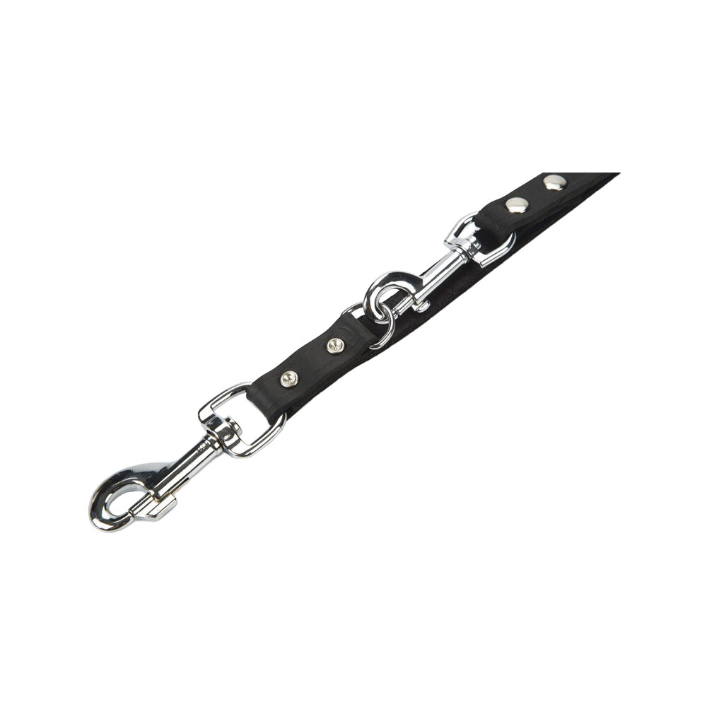 Beeztees Dog Leash Leather - Brown - 200 x 18cm