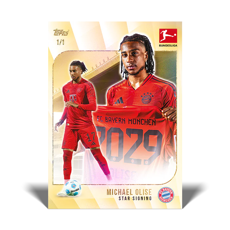 Bundesliga Summer Signings 2024/25 Set