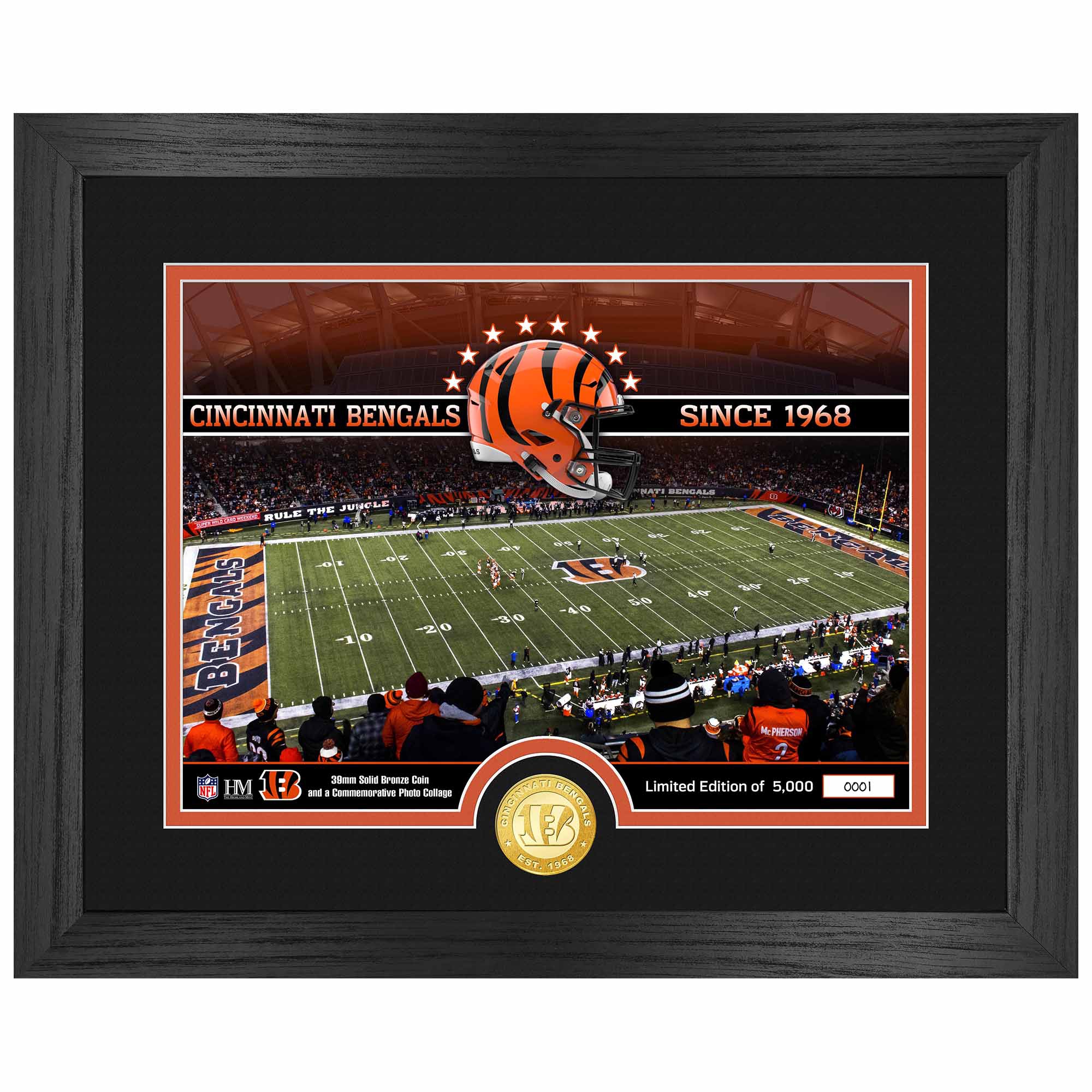Cincinnati Bengals Team Stadium Bronze Coin Framed NFL Photo