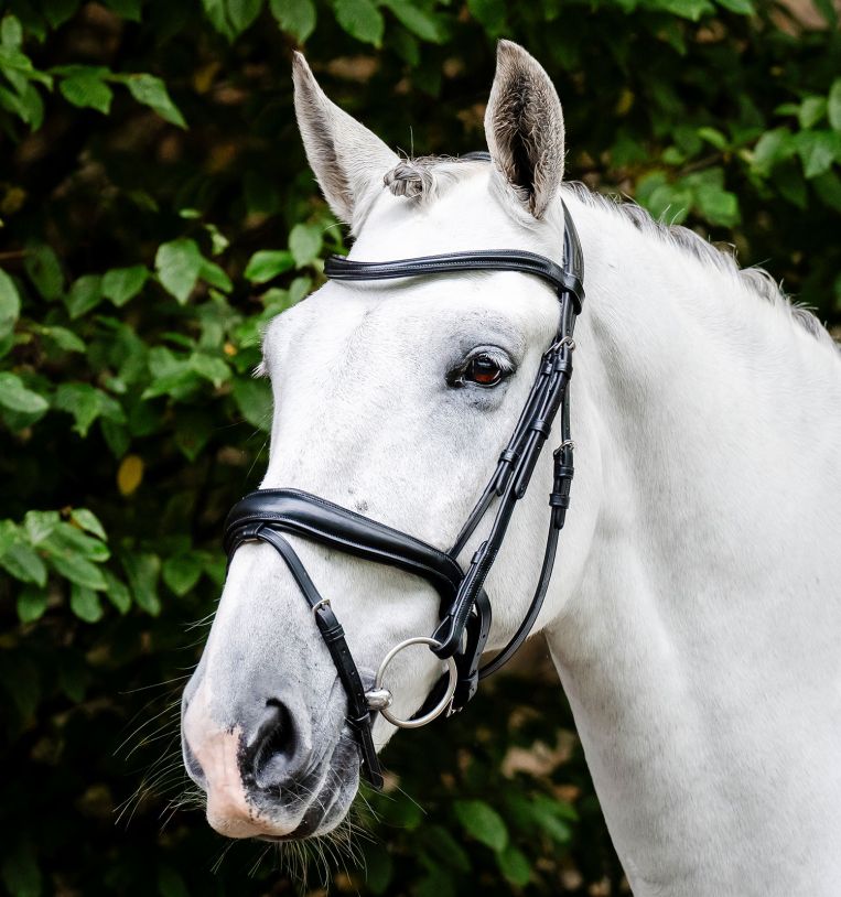 Horseware® Dressage Flash Bridle
