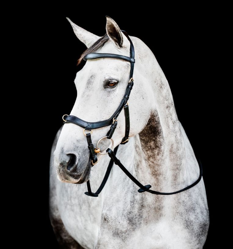 Horseware Micklem® 2 Multi Bridle