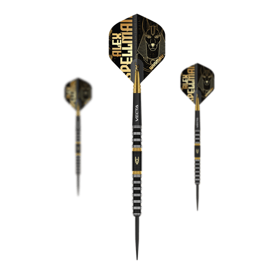 Winmau Alex Spellman steel darts