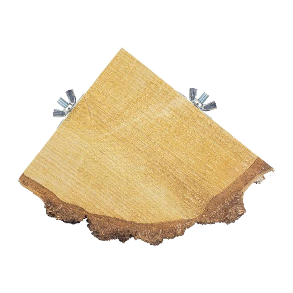 Back Zoo Nature Quarter Wood Slice