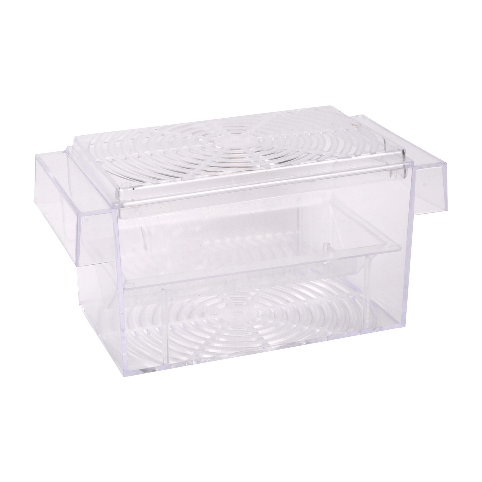 Flamingo Freshwater Fish Breeding Tank