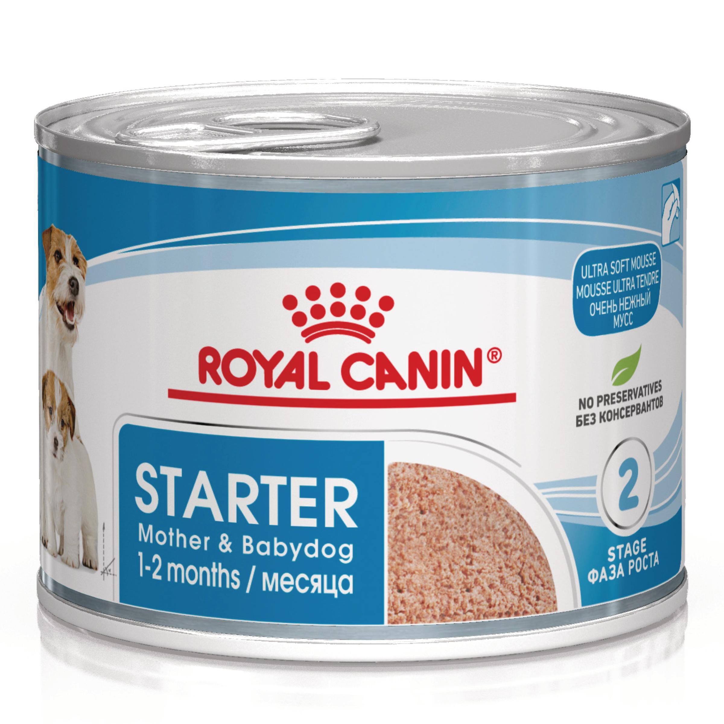 Royal Canin Starter Mousse Mother & Babydog - 12 x 195g