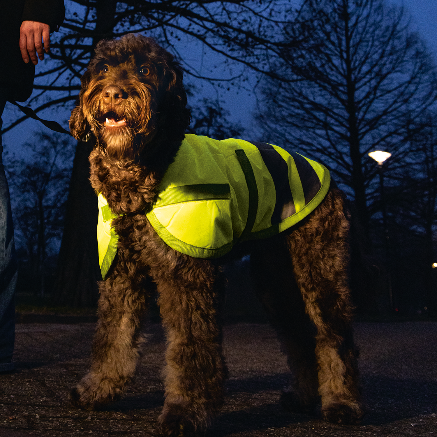 Beeztees Teddie Dog Coat Reflection - 30 cm