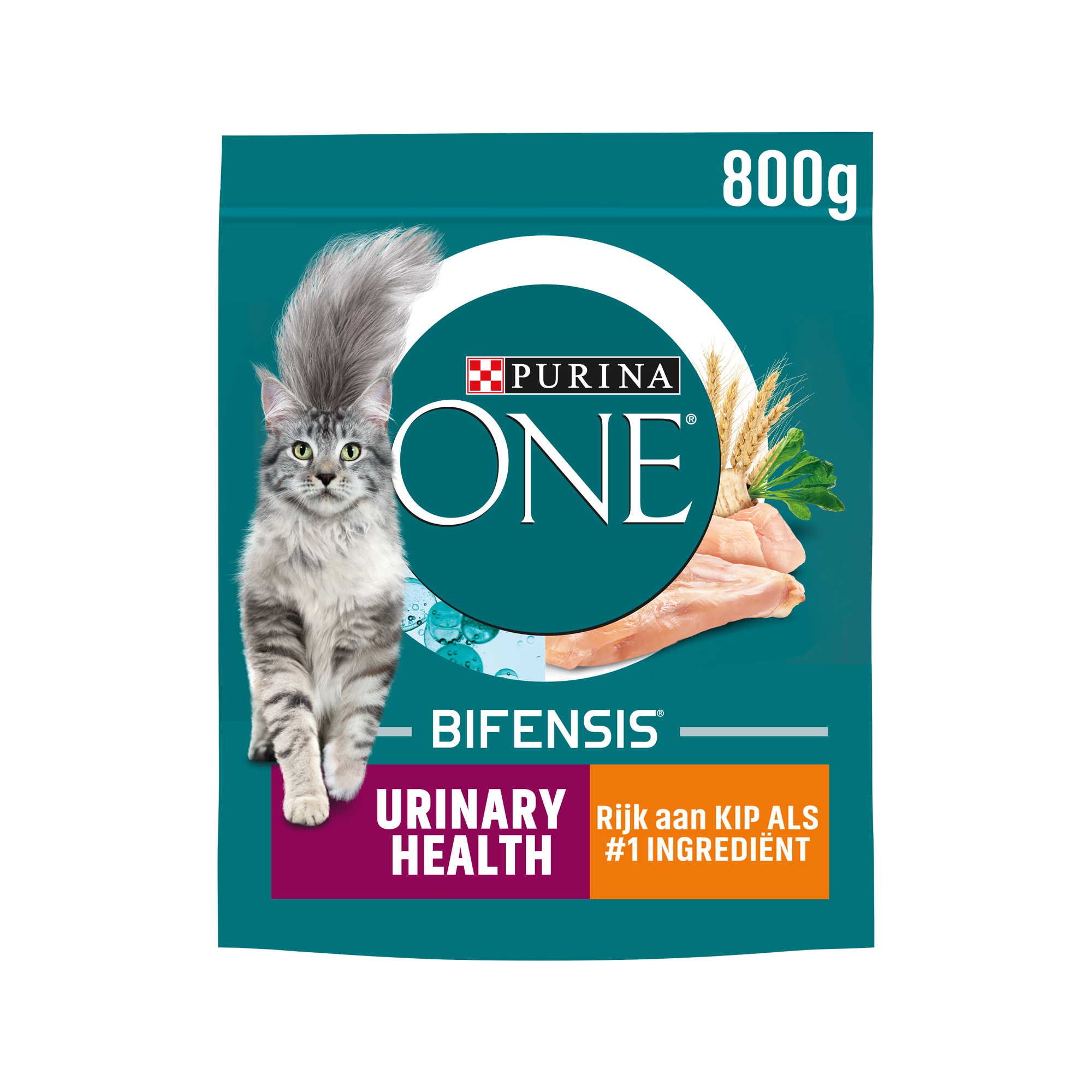 Purina ONE Urinary Health - Chicken & Wheat - 800 g