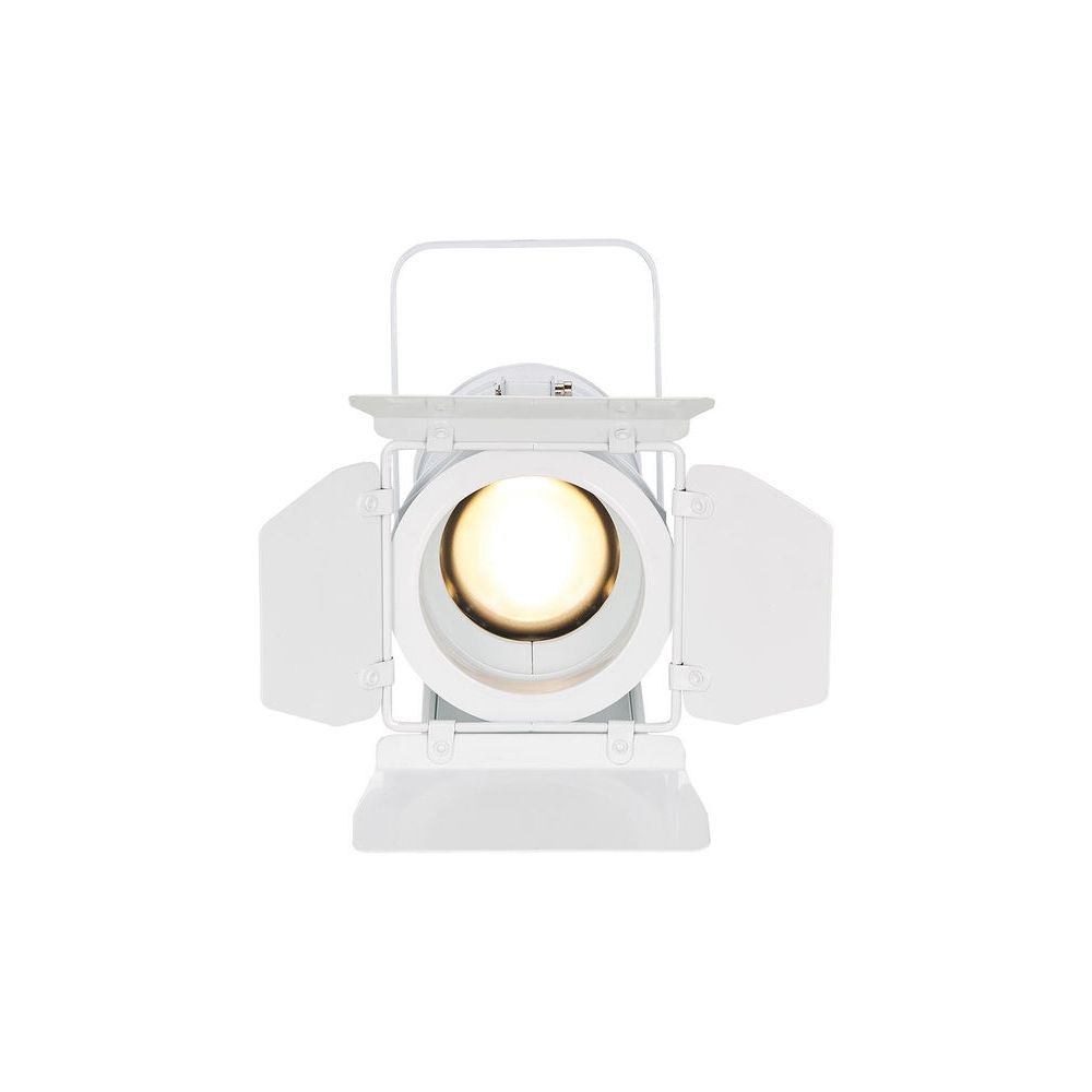 Cameo  TS 40 WW LED Theater