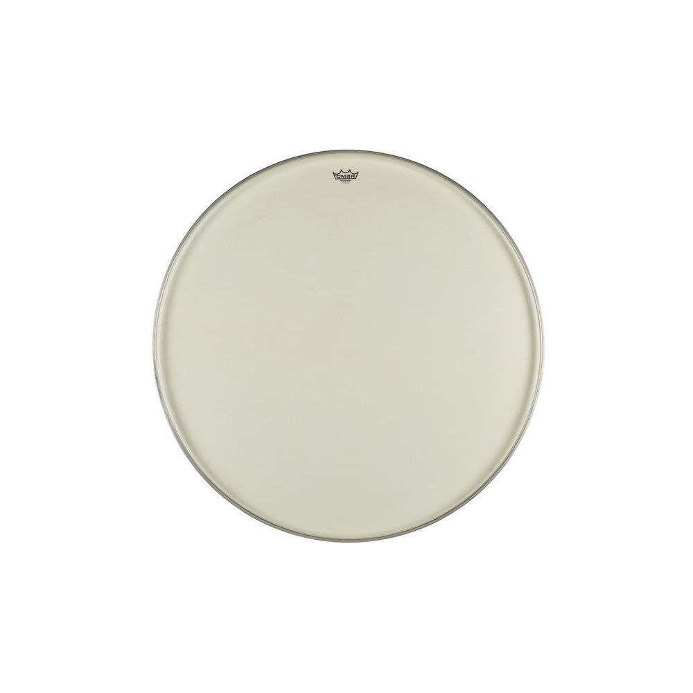 Remo 36 Renaissance Ambassador Bass – Thomann Ireland