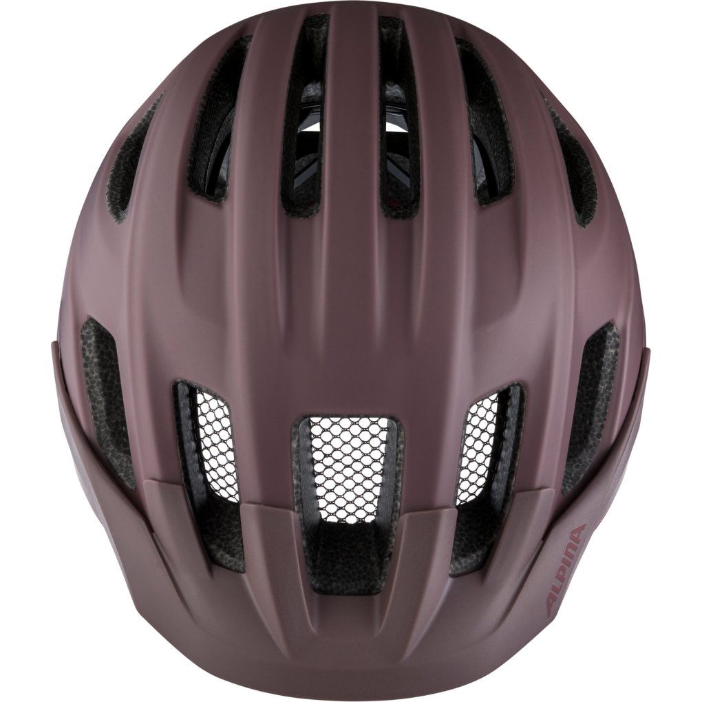 Alpina Paranus MIPS Helmet - raisin matt