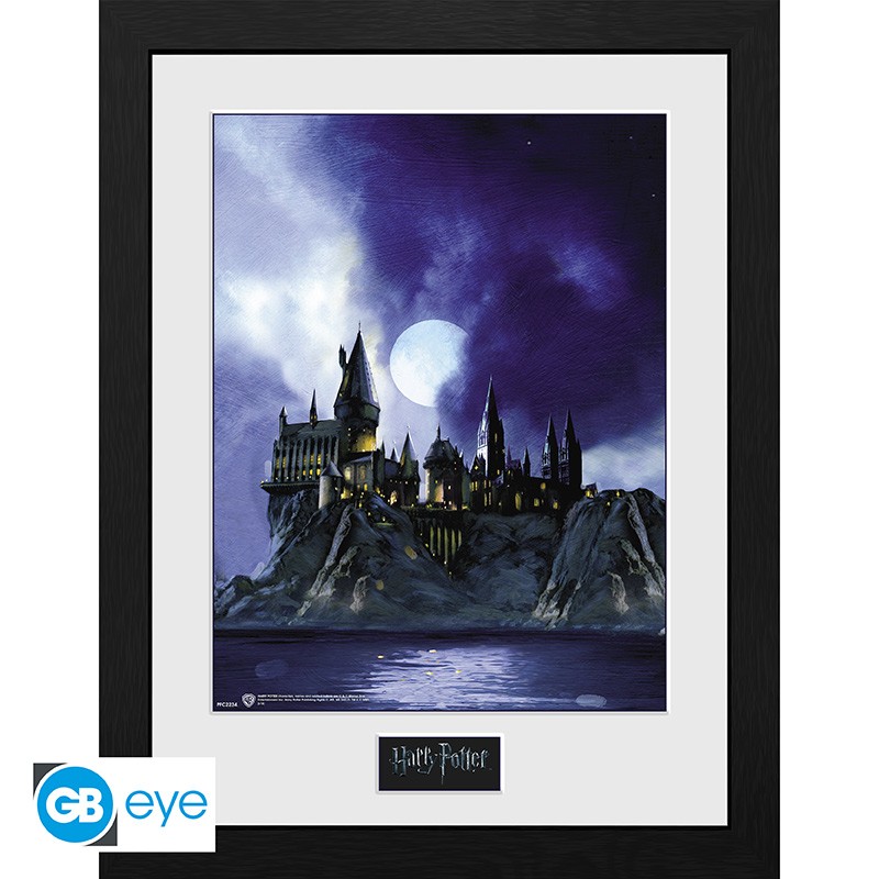 HARRY POTTER Framed print Hogwarts Painted