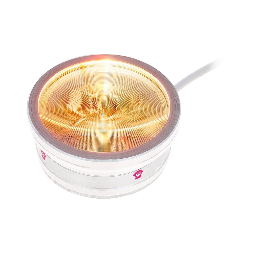 Ape Labs ApeCoin V2 USB Set of 4 – Thomann Ireland